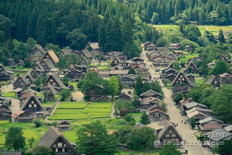夏日白川乡